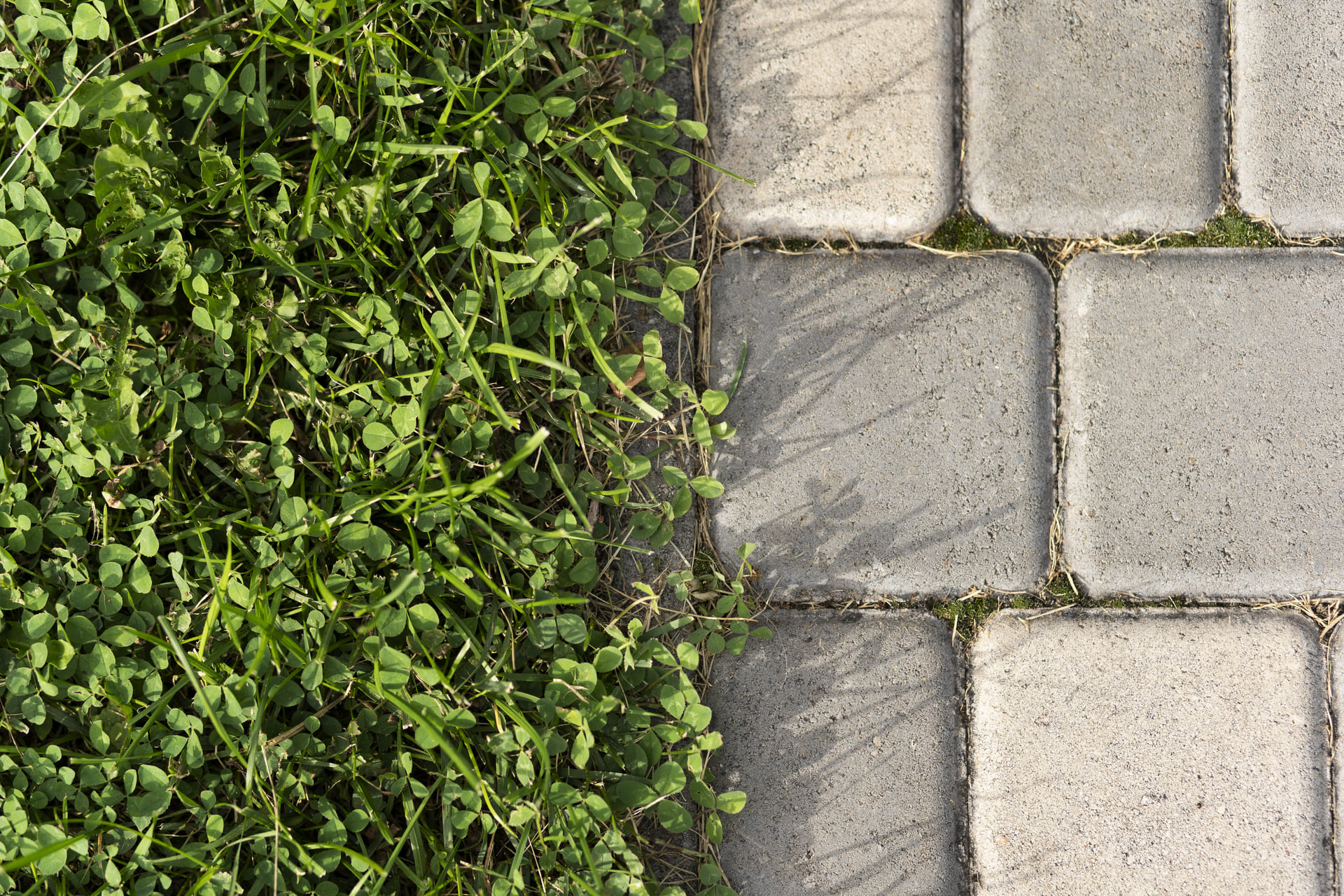 Eco-friendly permeable pavers blending seamlessly with lush green grass for a sustainable outdoor space.