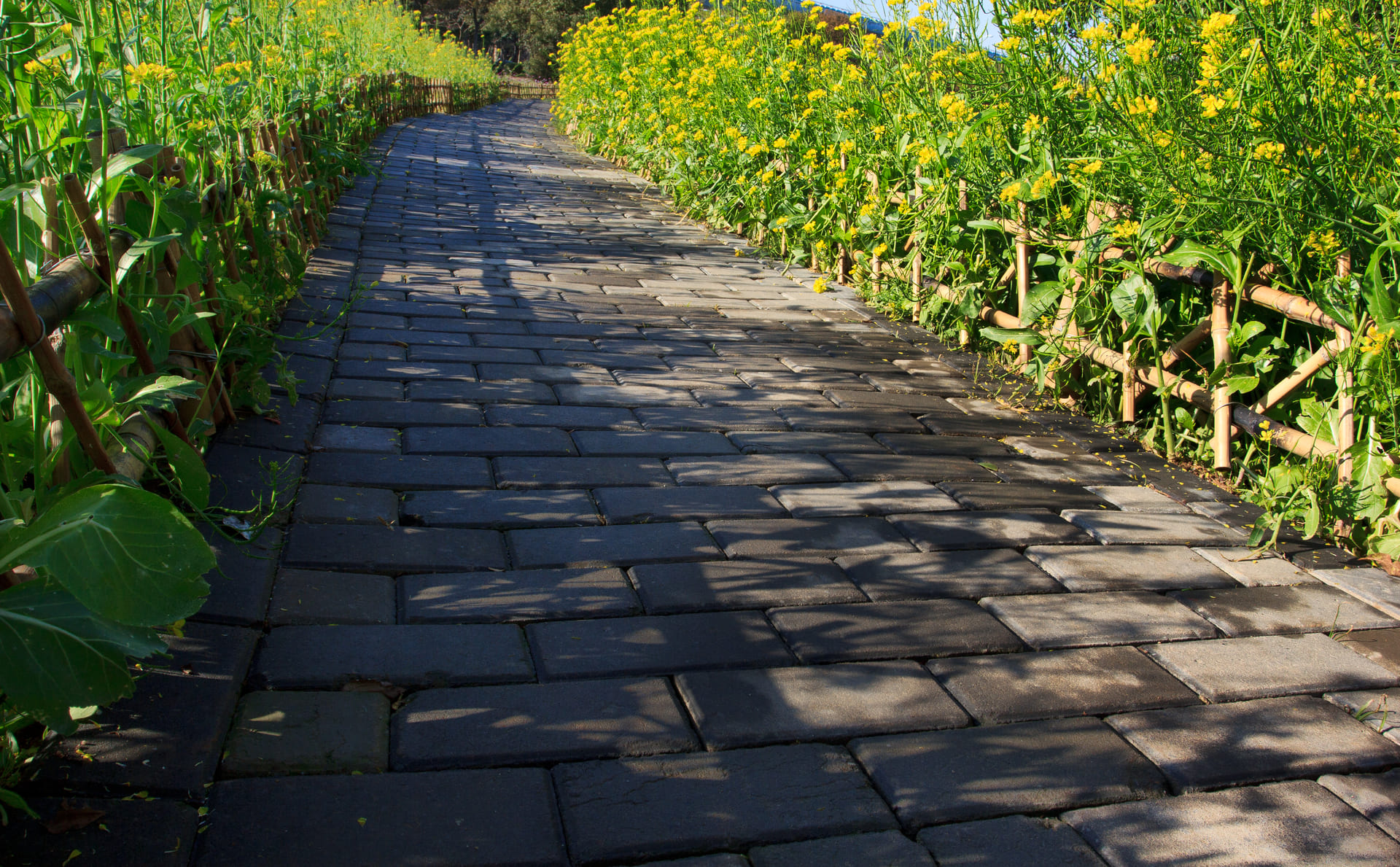 Beautiful garden pathway with dark stone pavers surrounded by lush greenery and yellow flowers.