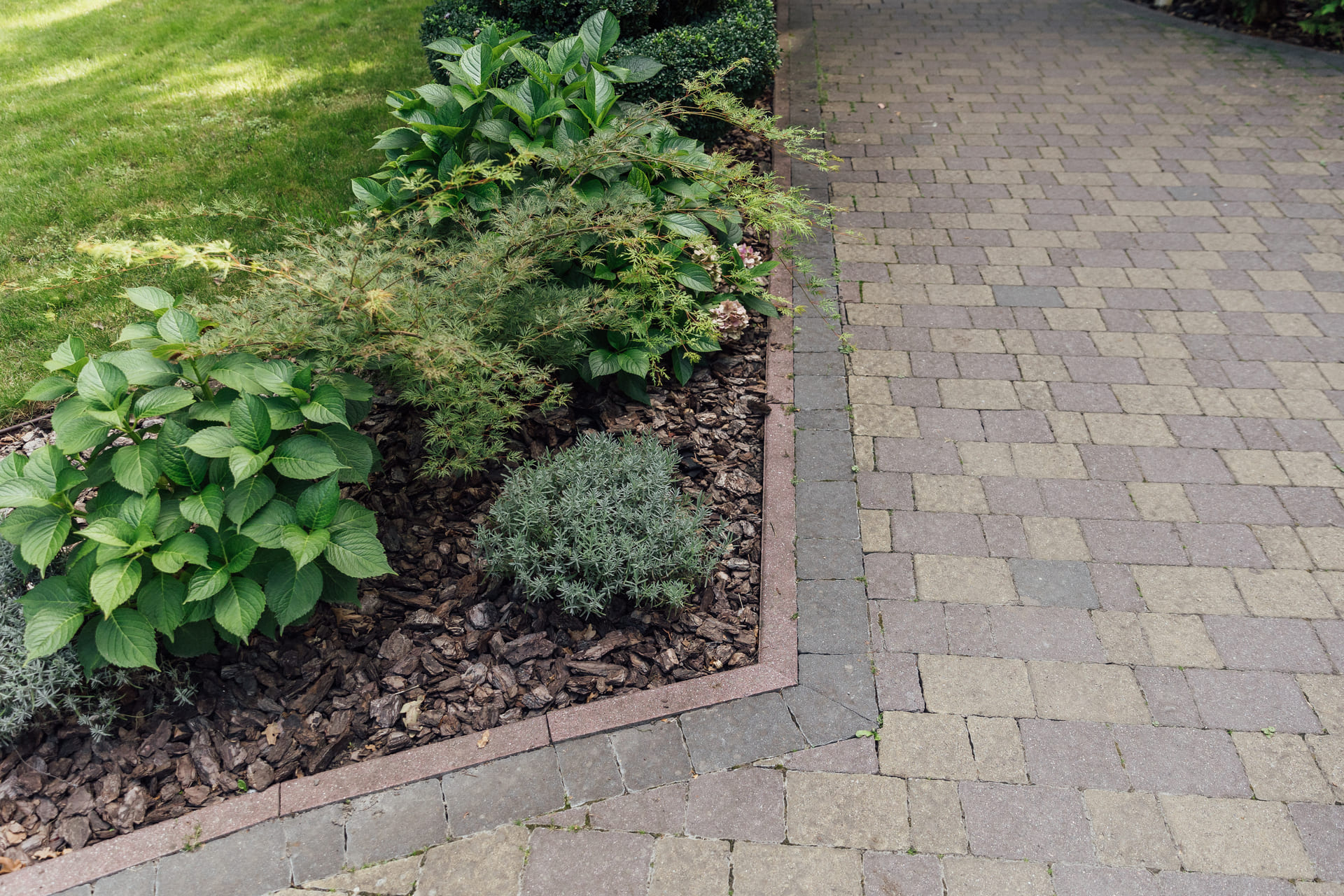 modern backyard landscaping garden house renovation florida