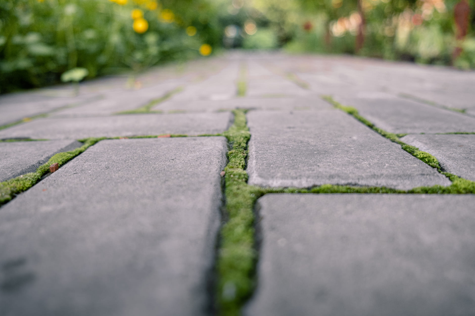 Sustainable landscaping solutions in Largo