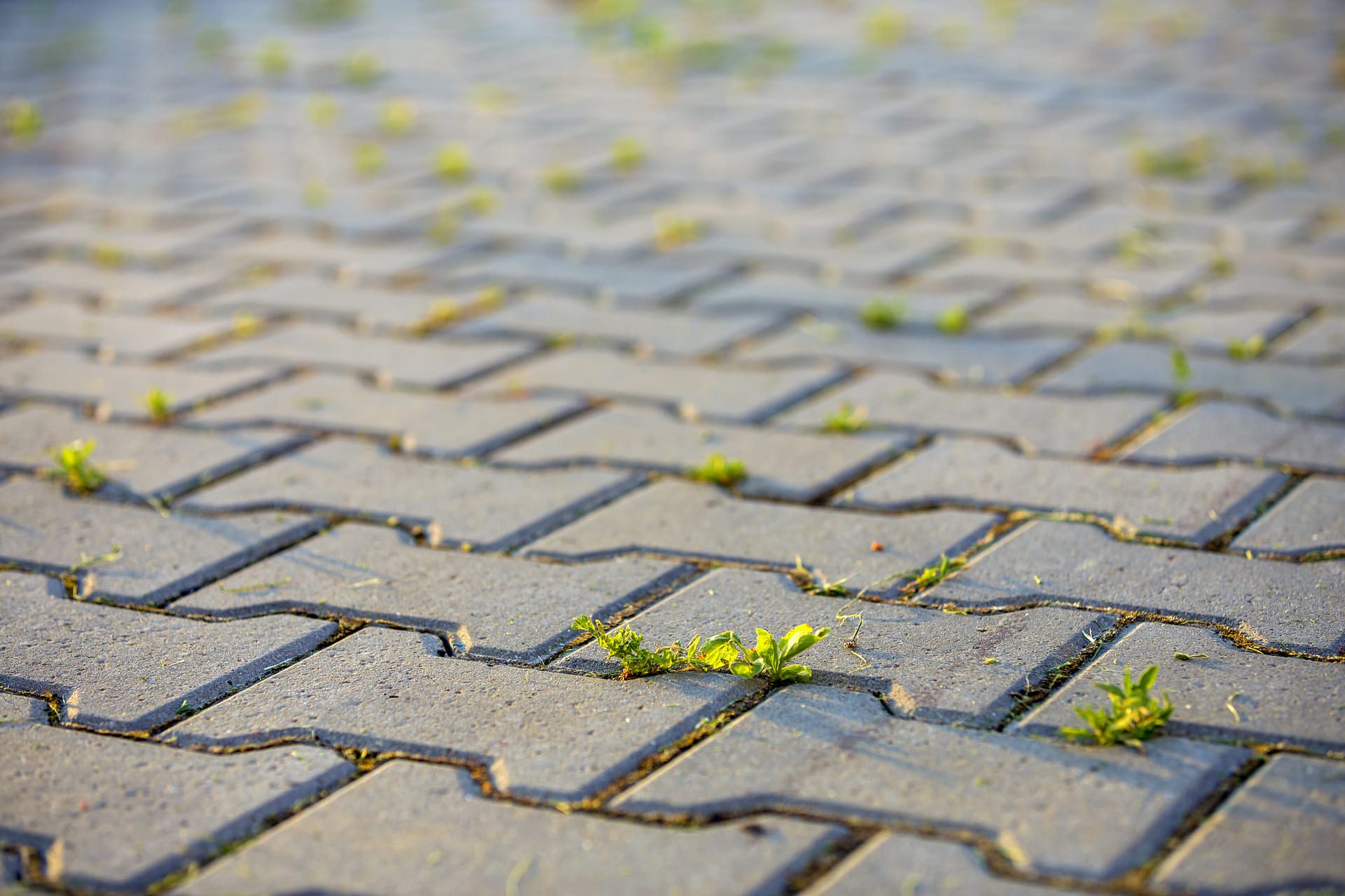 Outdoor renovation ideas with sustainable landscaping in Largo